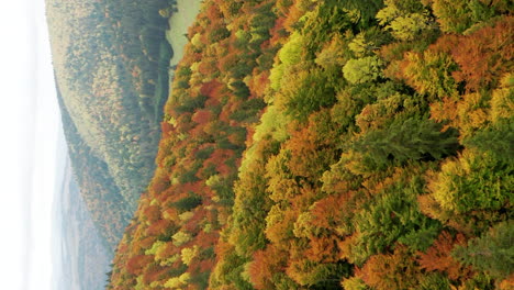 Vista-Aérea-De-Las-Montañas-Rumanas-Con-Densos-Bosques-Mixtos-En-Otoño,-Vertical