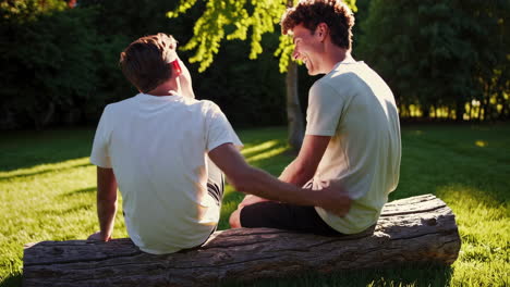 two young men chatting on a log in a sunny park