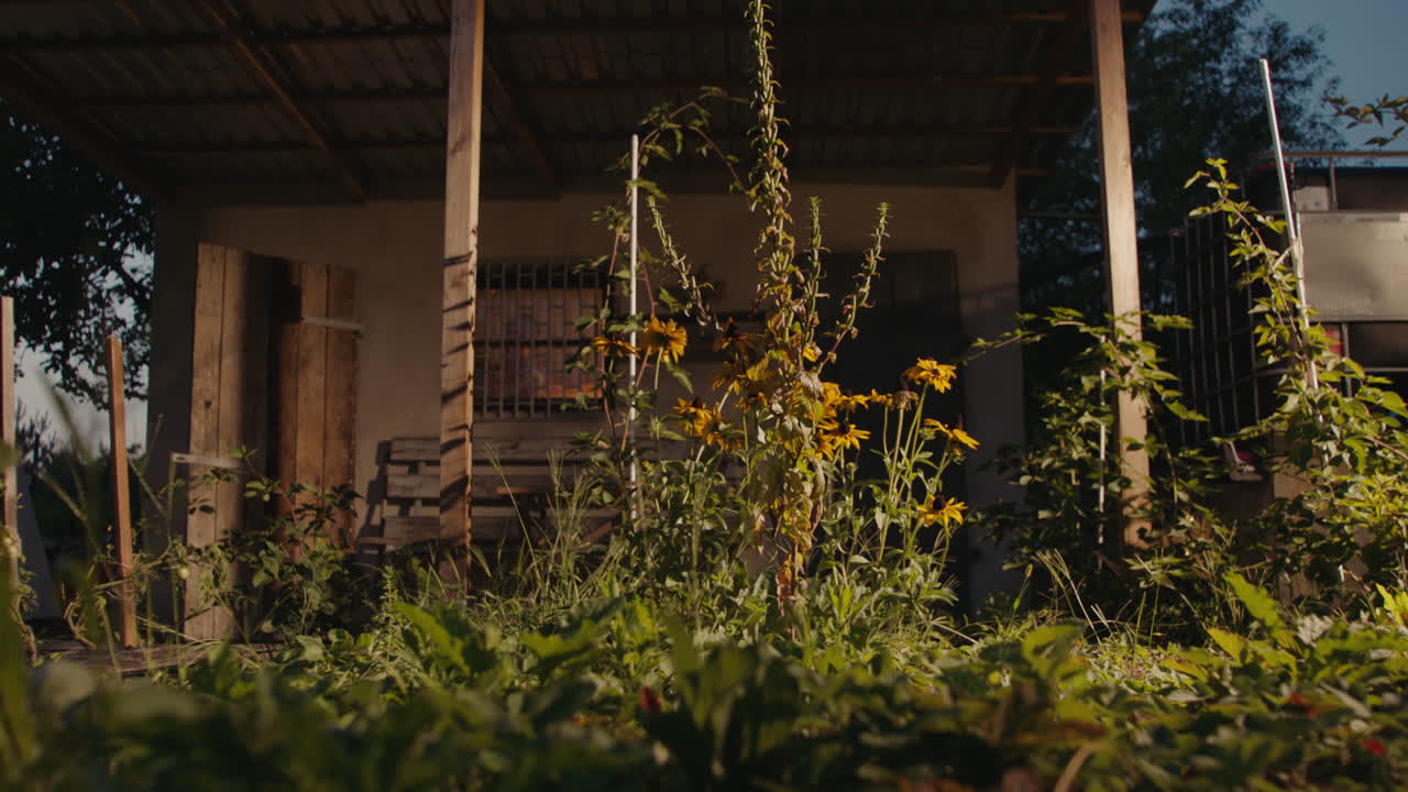 Rustic Garden Shed with Flowers