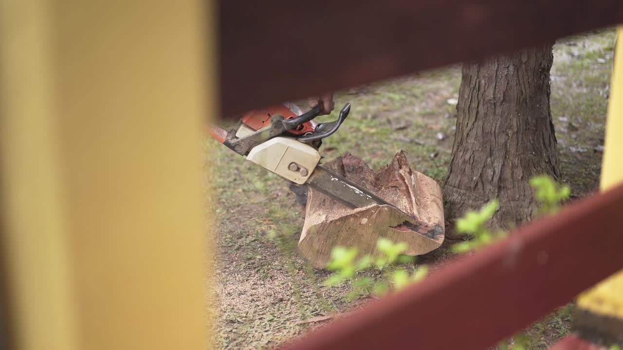뒤뜰에서 나무를 자르는 전기톱