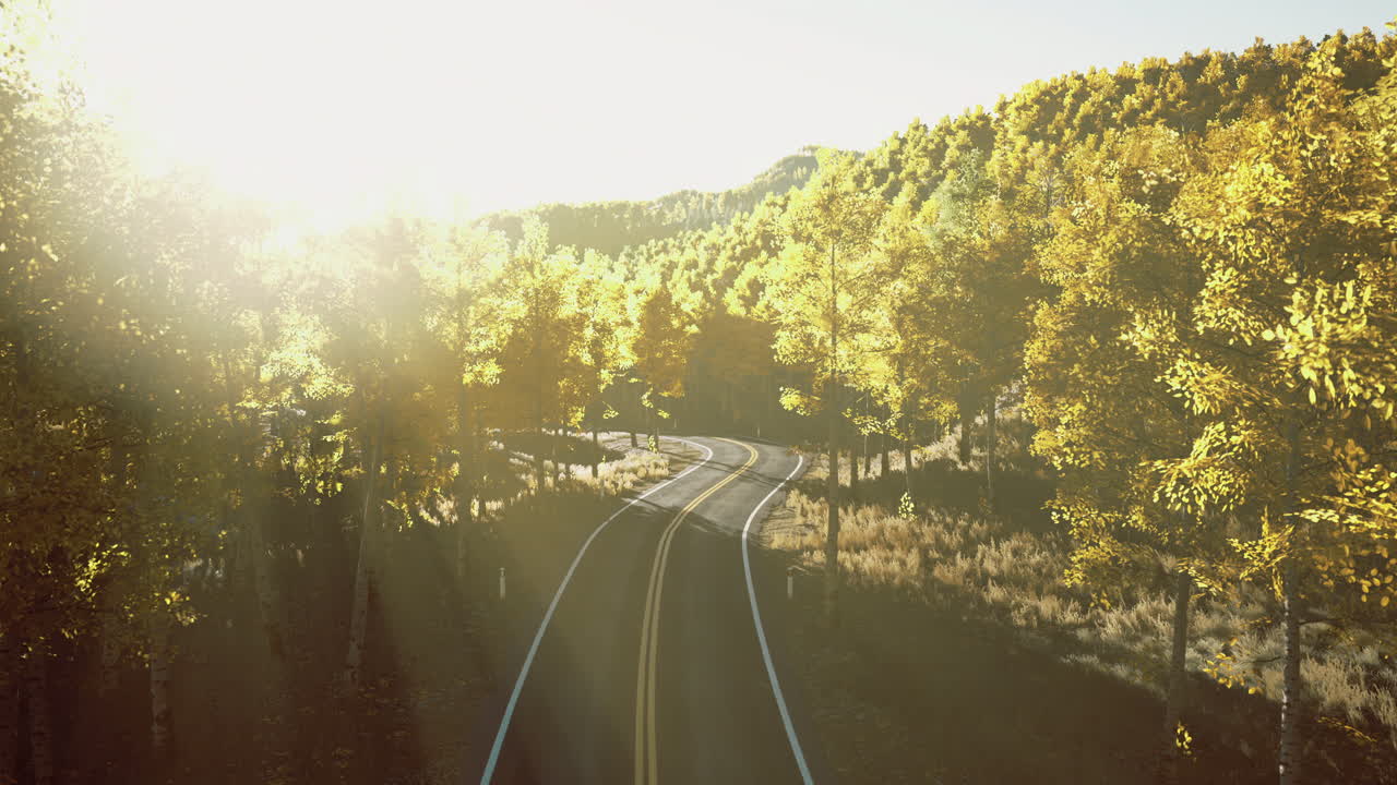 Winding road through a vibrant forest landscape during golden hour