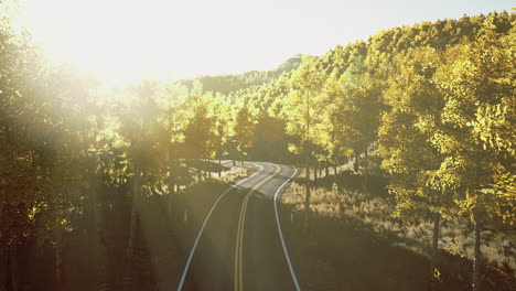 winding road through a vibrant forest landscape during golden hour