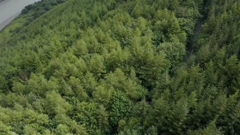 aerial reveal 4k footage of the irish border with northern ireland, to the left is warrenpoint