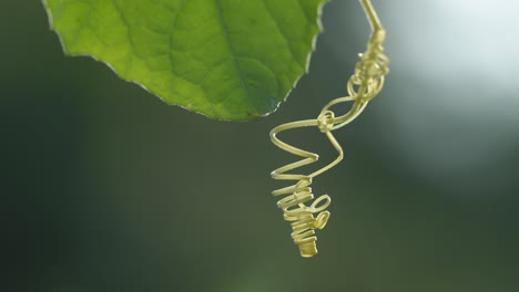 hang botanic spiral chain of green curly twig