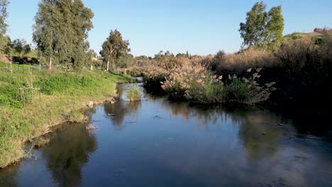 Peitschengrün-Im-Winter-–-Jordanfluss-–-Yardenit-Taufe,-Heilige-Christliche-Stätte-–-Religiöser-Tourismus-–-Nordisrael