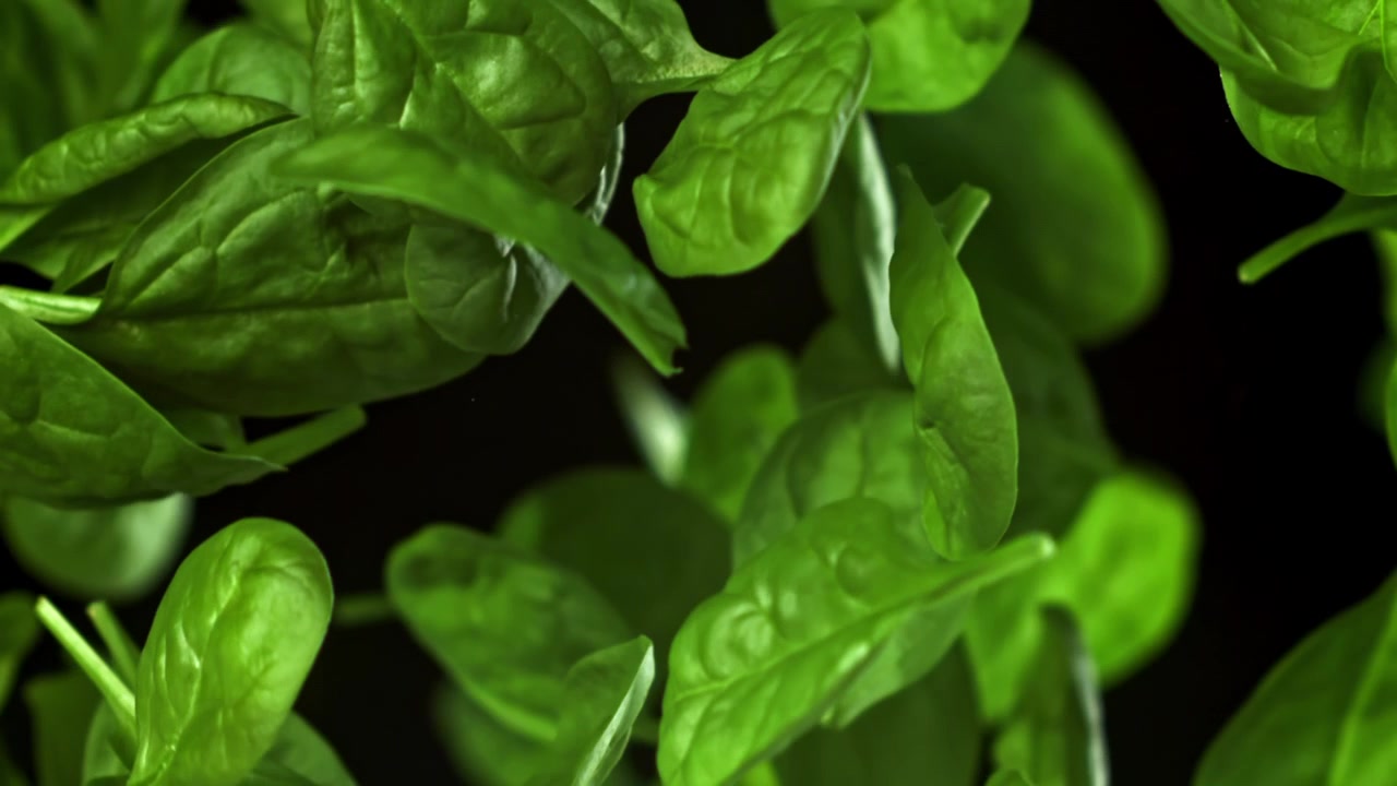 Foglie di spinaci freschi e verdi che cadono al rallentatore su sfondo nero
