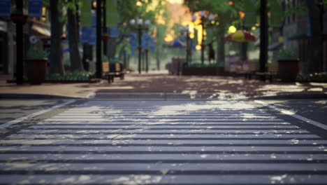 quiet city park with trees and benches