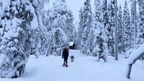 woman walking on snowshoes in snowy forest with