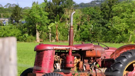 an old red tractor sits in a lush green field under bright sunlight, capturing rural tranquility