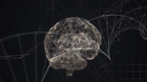 animación digital del cerebro humano y la estructura del adn girando contra la red de conexiones