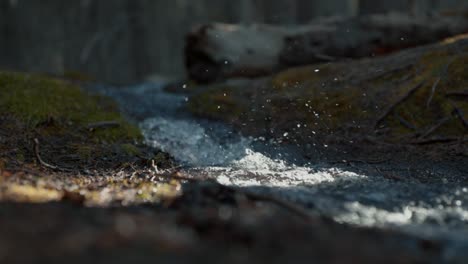 A-small-creek-in-Kananaskis-Alberta-Canada