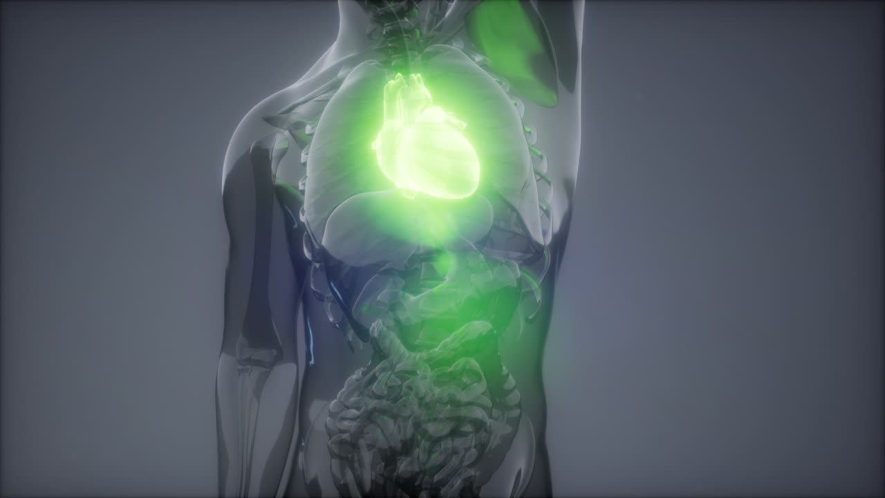 examen de radiología del corazón humano