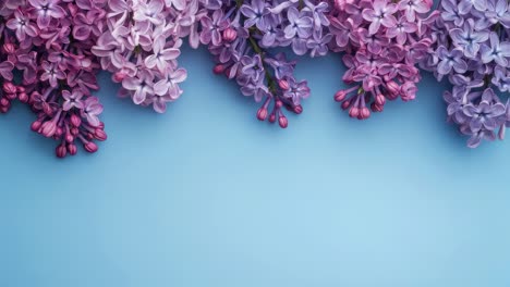 lilac flowers arrangement