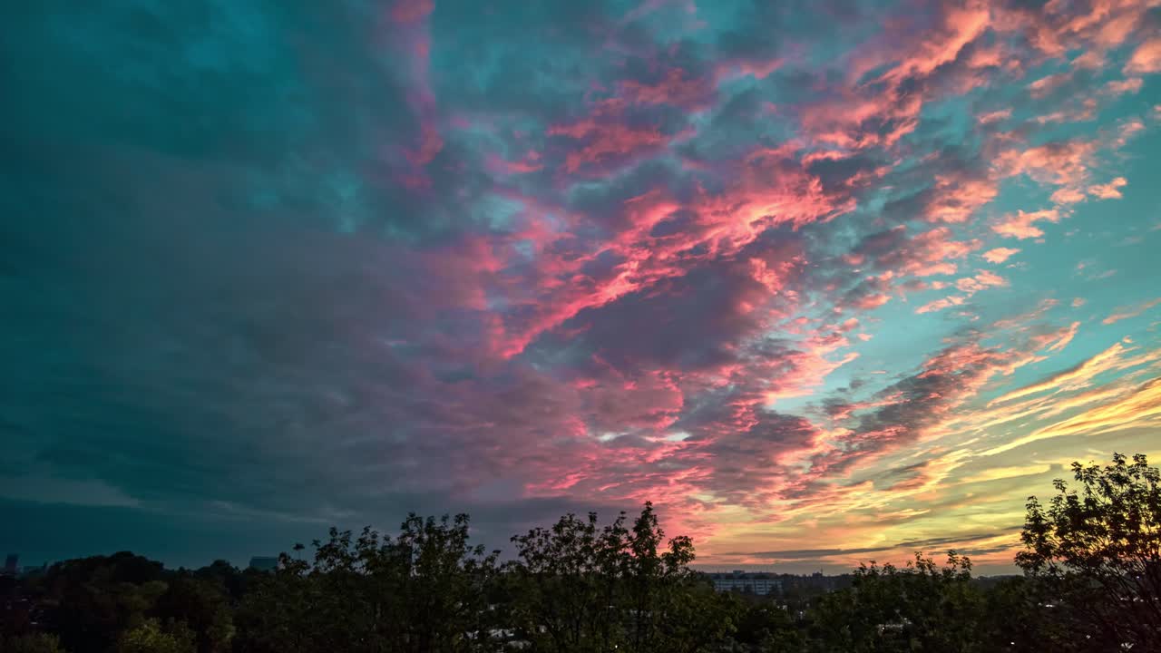 나무 꼭대기 스카이라인 일몰의 장엄한 다채로운 시간 경과