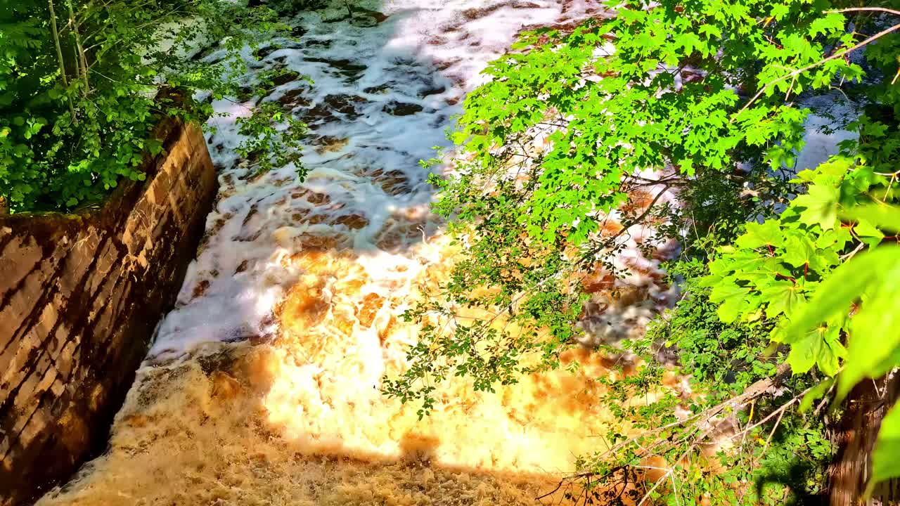 Turbulent Water Pouring Down From Dam Wall Surrounded by Forest and Foliage. Sunny Summer Day View on Foamy Dam Water