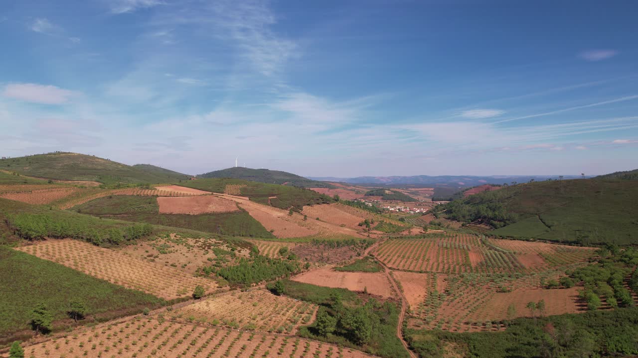 Volo sopra una valle verde in una giornata estiva