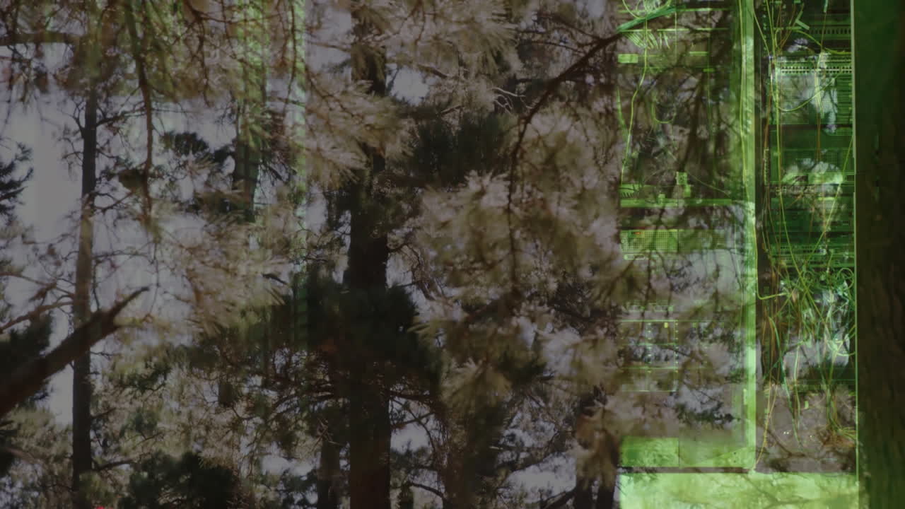 Digital green data processing animation overlaying pine trees in forest scene