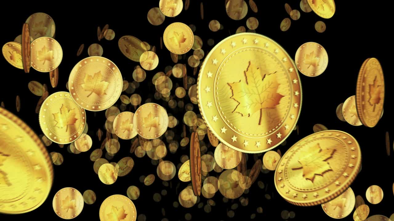 hoja de arce canadiense vuelo en bucle entre monedas de oro