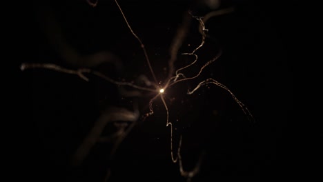 Golden Particle Burst Explosion - Big Bang