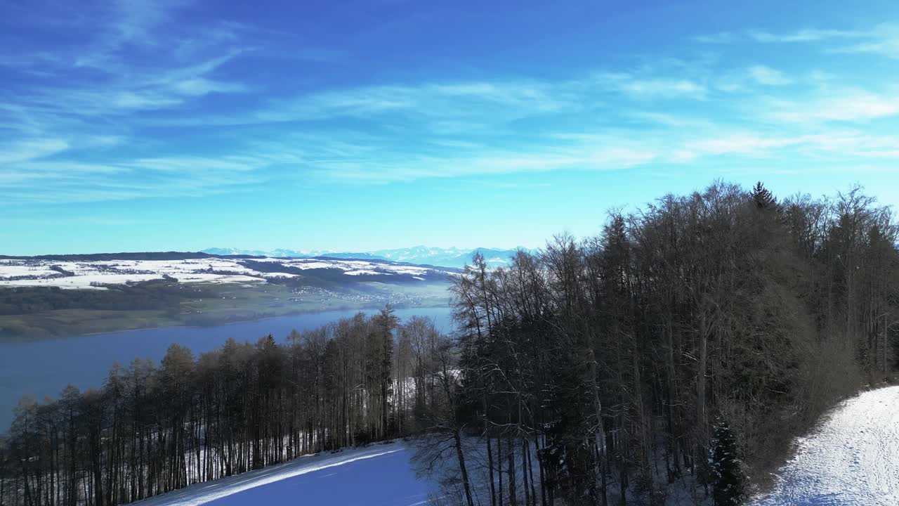 나무 한 무리의 뒤에서 호수와 스위스 알프스 산맥을 배경으로 드러내기 위해 (공중) 날아갑니다.