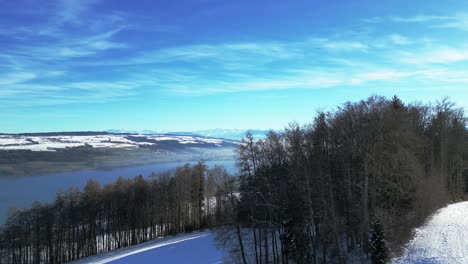 flying up (aerial) behind a group of trees to reveal a lake and the swiss alps in the background.