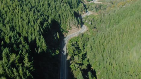 Neigung-Offenbaren-Folgendes-Auto-Auf-Kurviger-Forststraße