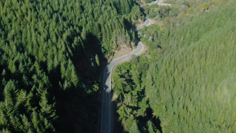la inclinación revela el siguiente coche en un camino forestal ventoso