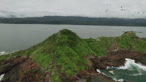 Bandada-De-Pájaros-Volando-Sobre-La-Isla-Rocosa-De-Costa-Rica