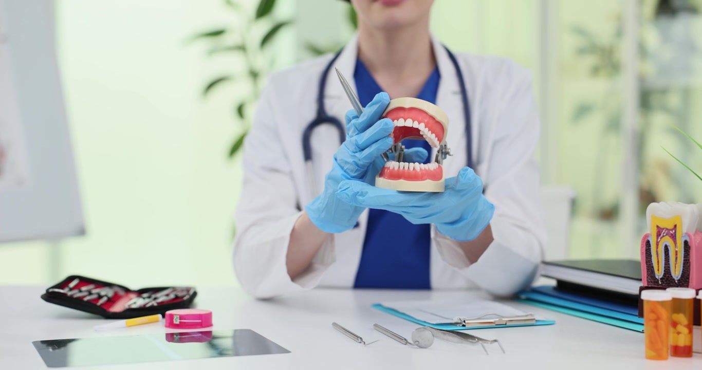 Female dentist demonstrates human jaws model at doctor desk