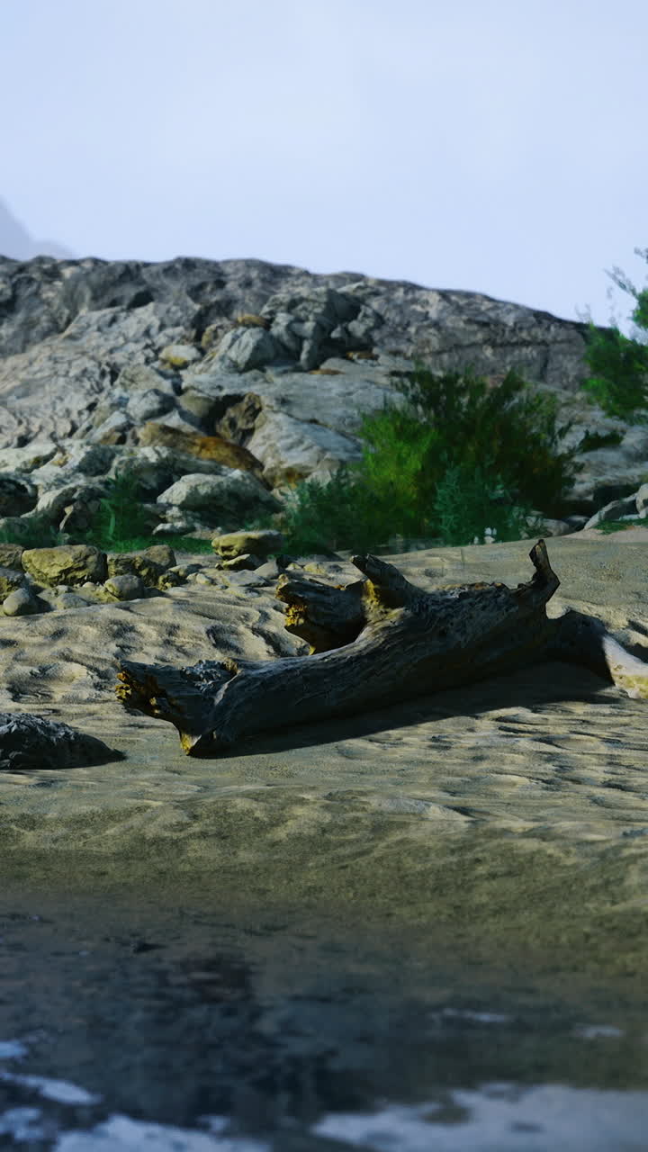 Rocky shoreline with vegetation and calm water under bright sky