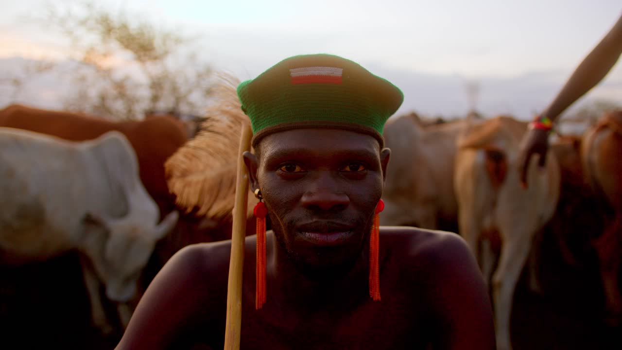 African Man In Traditional Attire Sitting Next To The Cow Herd In Karamoja, Uganda. - closeup shot