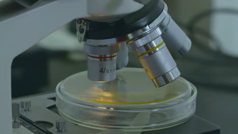 laboratorio microscopio con copia científico espacial analizar muestras bioquímicas en laboratorios científicos avanzados
