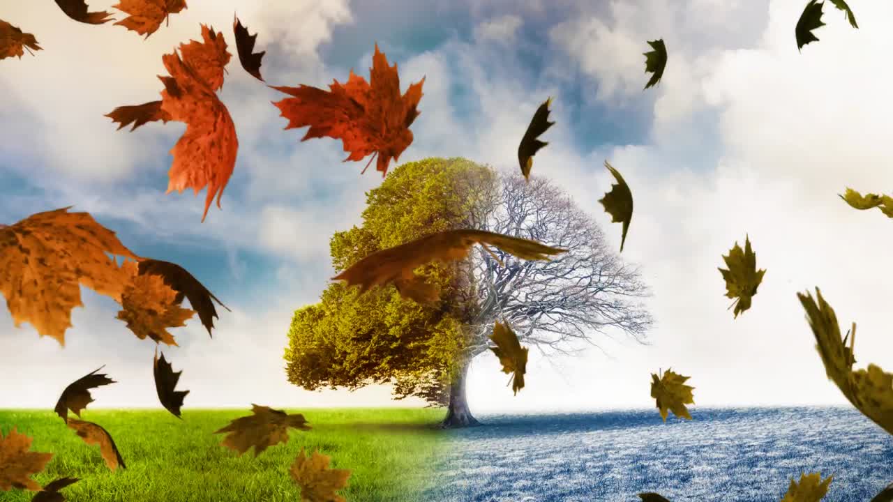 Les feuilles tombent.
