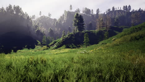lush green landscape with rolling hills under a serene sky at dawn