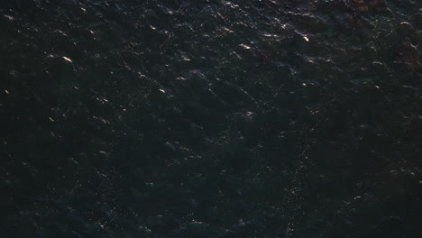 oscuras ondas de agua del océano atrapando la luz del amanecer brillando, el fondo de la naturaleza drone de arriba hacia abajo estático