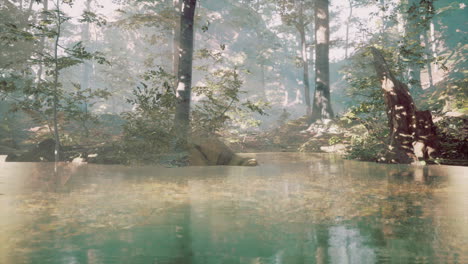 panoramic of the forest with river reflecting the trees in the water