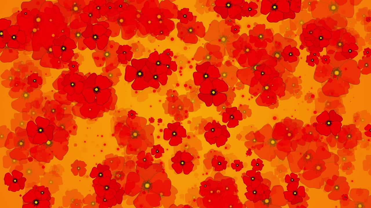 Red poppy flowers on yellow background. Abstract looped motion graphics. Rotating flora animation. Symbol of both Remembrance and hope for a peaceful future.