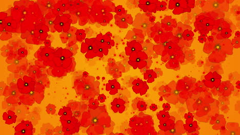 red poppy flowers on yellow background. abstract looped motion graphics. rotating flora animation. symbol of both remembrance and hope for a peaceful future.