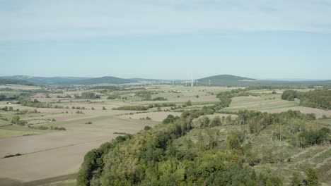 Un-Dron-Aéreo-Disparó-Sobre-Un-Hermoso-Paisaje-Alemán,-Bosques,-Europa