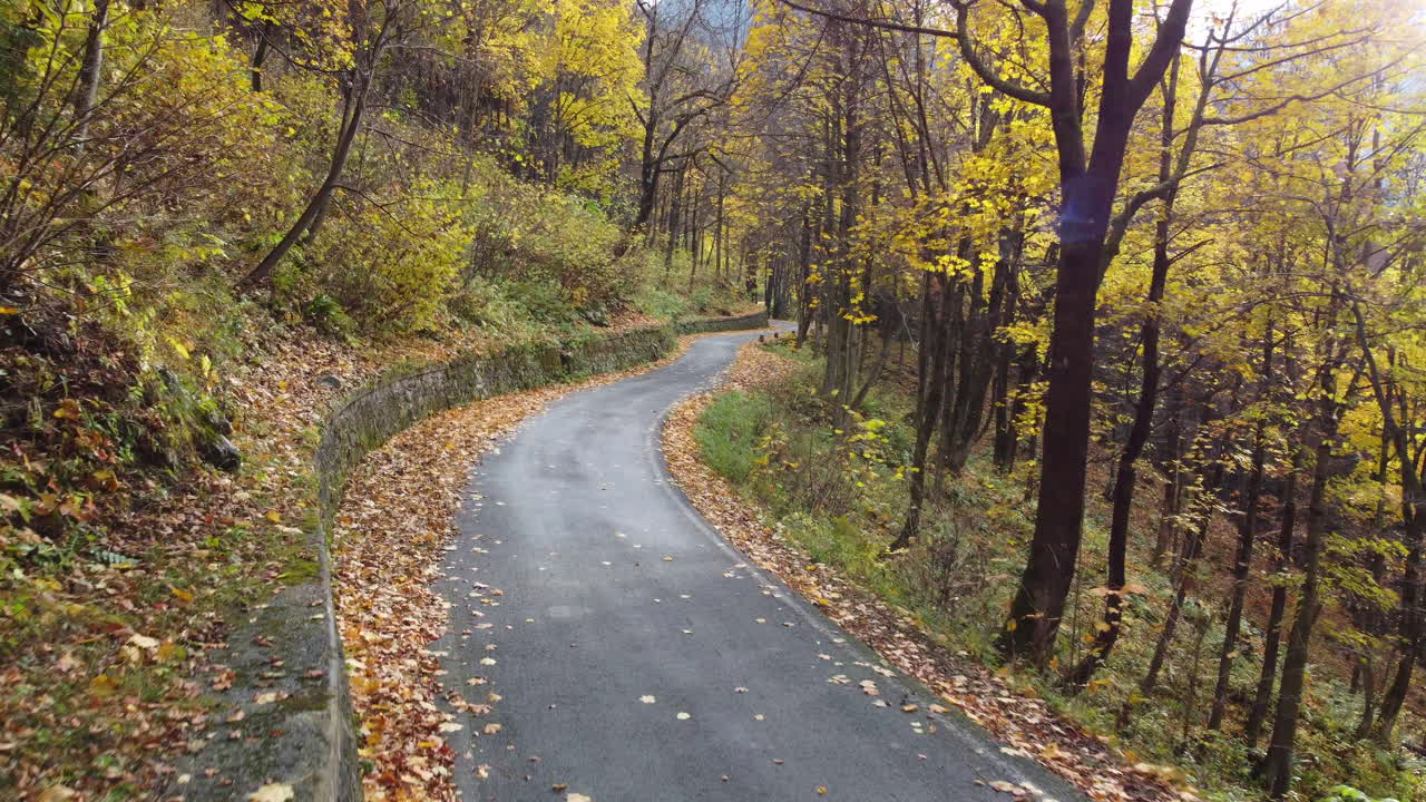 strada autunnale nella foresta di montagna, vista aerea degli alberi del fogliame giallo e rosso