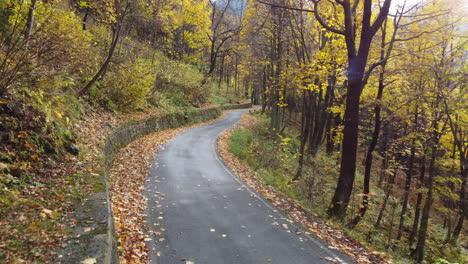 autumn road in mountain forest, yellow and red foliage trees aerial view