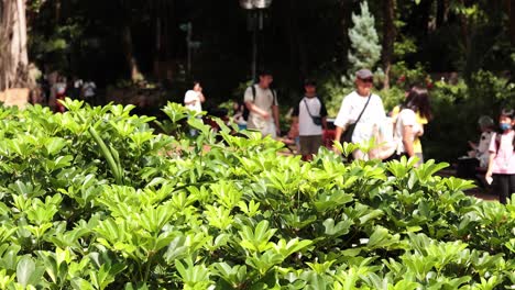 visitors enjoy a sunny day in nature