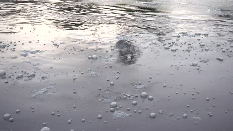 waste water with water awaiting treatment in the pond to bile