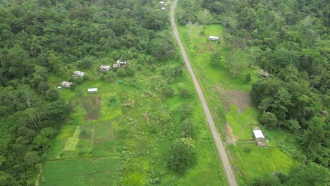 Fruchtbares-Ackerland-Umgeben-Von-Urwald-Im-Hochland-Von-Neuguinea