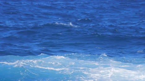 rough and choppy ocean waves heading towards the shoreline