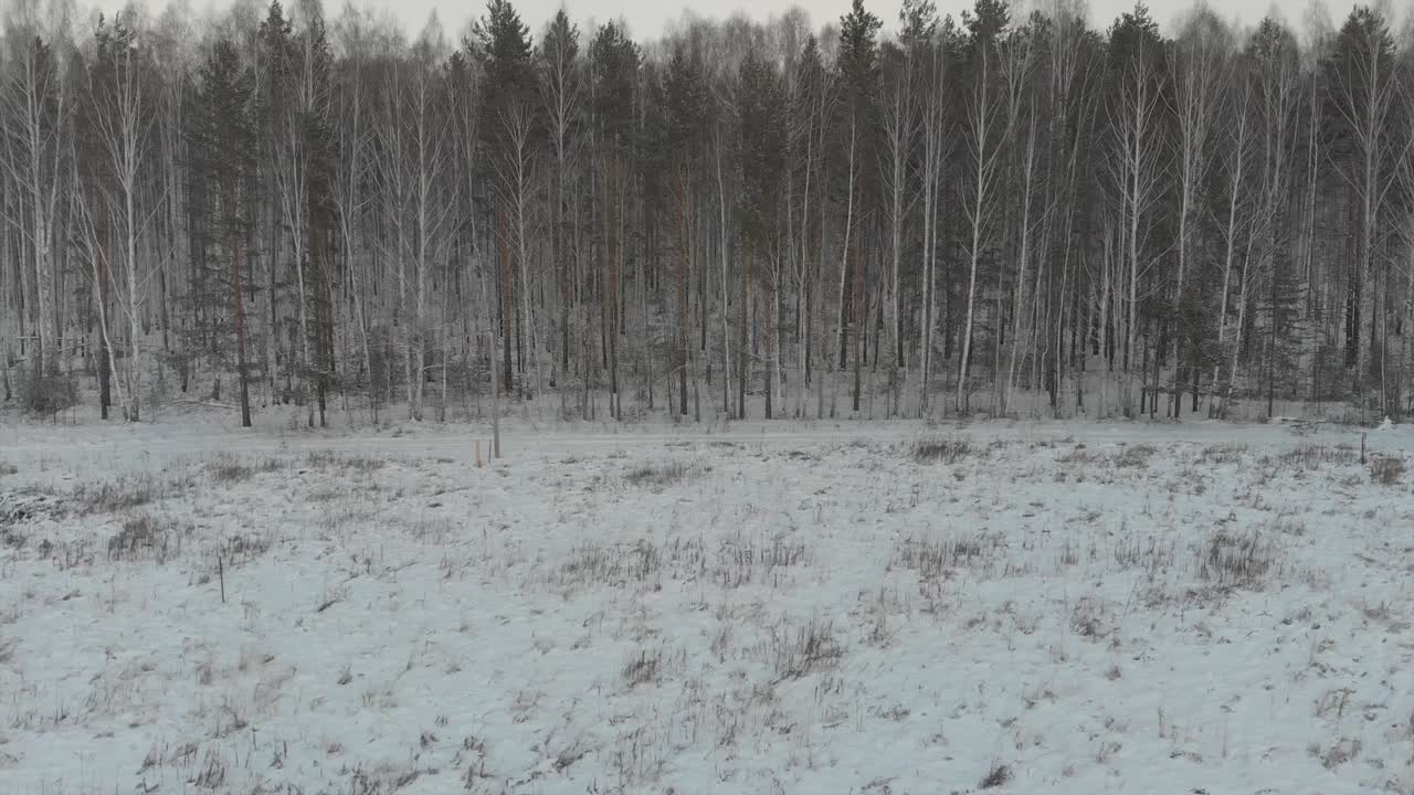 Paesaggio boschivo innevato