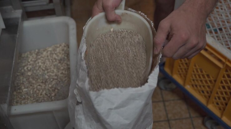 many sunflower seeds are taken out of a sack with a large ladle in a bakery