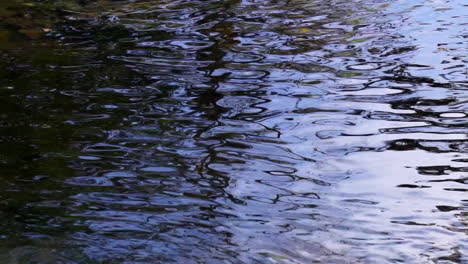 flowing creek water creates distorted reflections of sky and trees