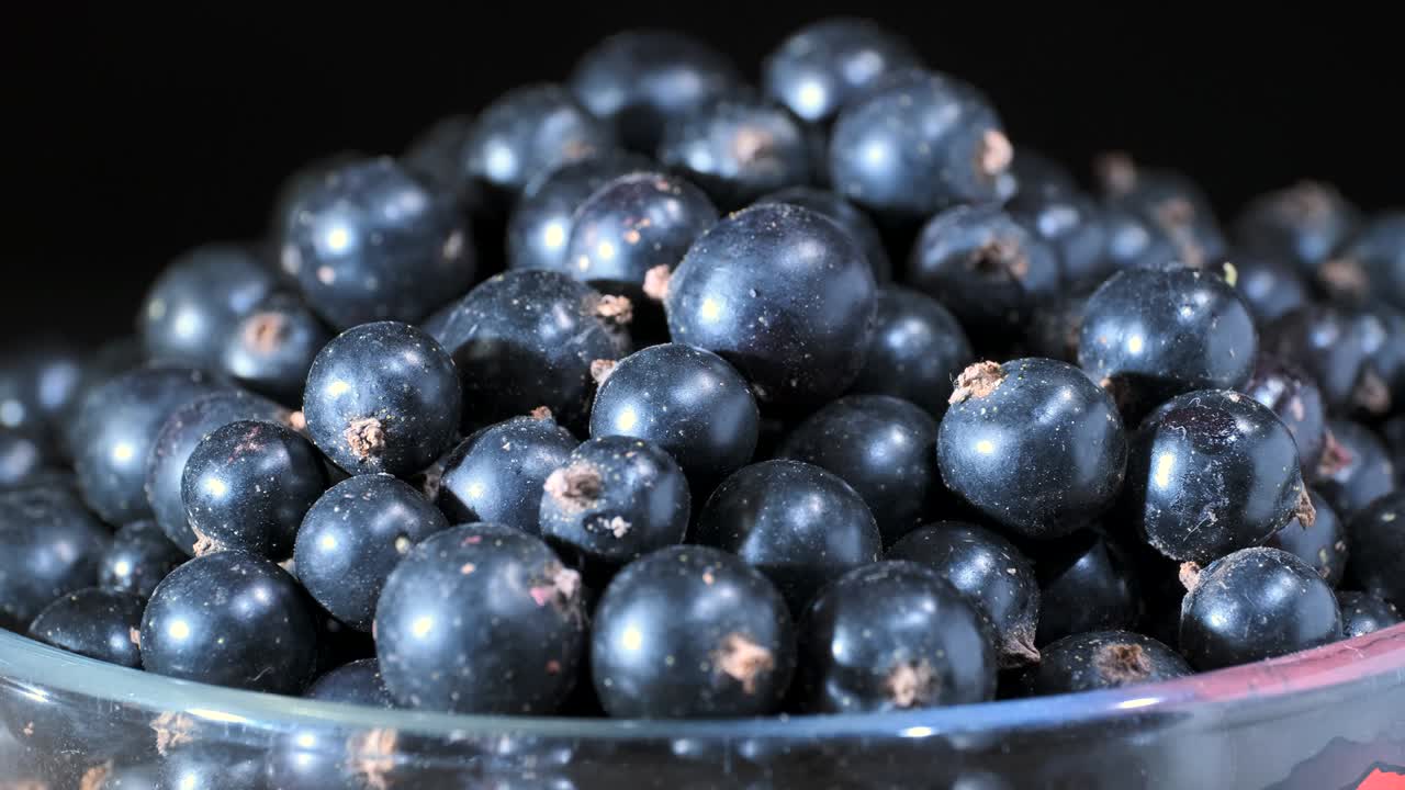 흑색 바탕에 있는 유리창에 신선한 검은 수박을 회전시킨다. 가까이에서. 카메라 회전 360도. 검은수박 또는 검은수방 (ríbes nígrum)