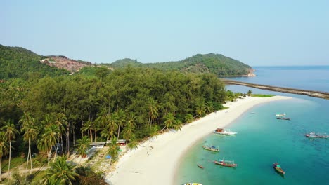 beautiful tropical jungle, palm forest on the island with white sand paradise beach, surrounded by boats in crystal clear calm ocean